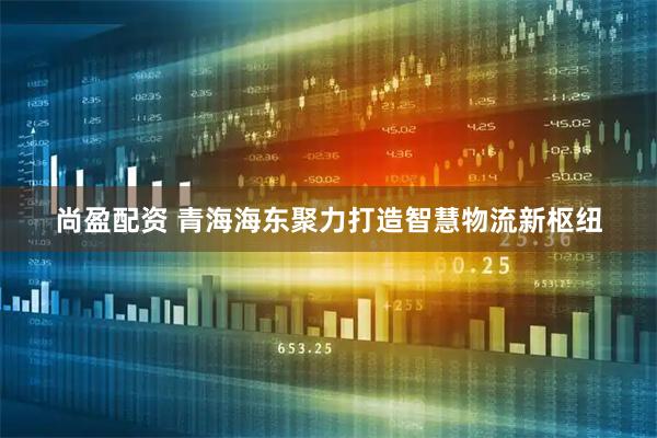 尚盈配资 青海海东聚力打造智慧物流新枢纽