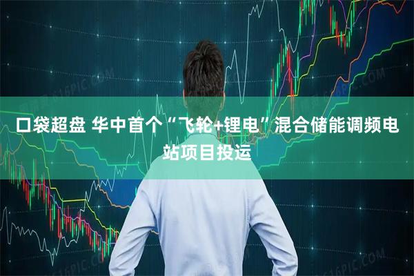 口袋超盘 华中首个“飞轮+锂电”混合储能调频电站项目投运