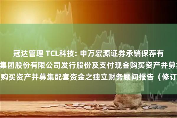 冠达管理 TCL科技: 申万宏源证券承销保荐有限责任公司关于TCL科技集团股份有限公司发行股份及支付现金购买资产并募集配套资金之独立财务顾问报告（修订稿）内容摘要