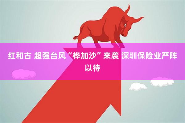 红和古 超强台风“桦加沙”来袭 深圳保险业严阵以待