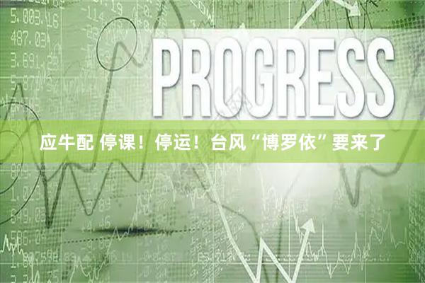 应牛配 停课！停运！台风“博罗依”要来了