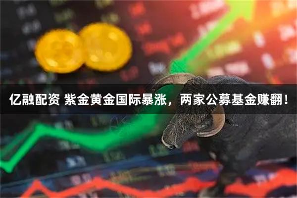 亿融配资 紫金黄金国际暴涨,两家公募基金赚翻!