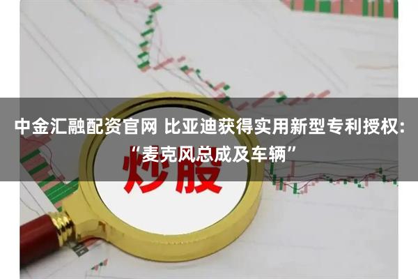中金汇融配资官网 比亚迪获得实用新型专利授权: “麦克风总成及车辆”