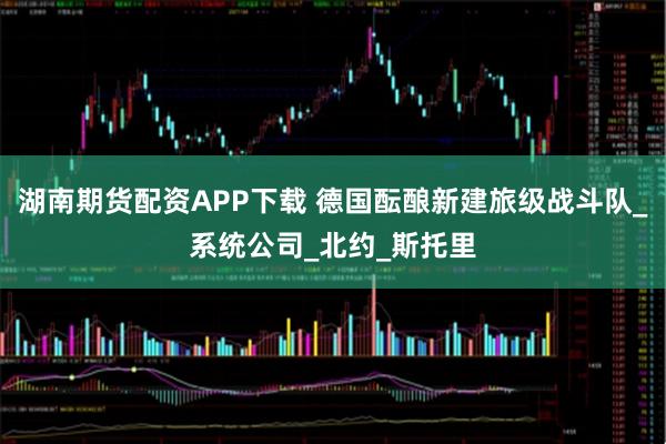 湖南期货配资APP下载 德国酝酿新建旅级战斗队_系统公司_北约_斯托里