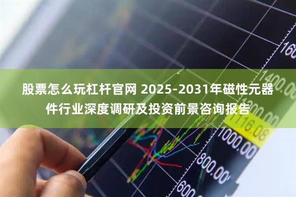 股票怎么玩杠杆官网 2025-2031年磁性元器件行业深度调研及投资前景咨询报告